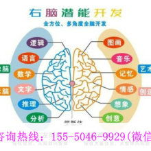 廈門學之源科技開發(fā)公司 專注早教教材與幼教產(chǎn)品，引領(lǐng)信息技術(shù)咨詢服務