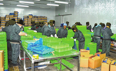 玉溪市人民政府 筑牢食品安全防線，守護群眾“舌尖上的安全”